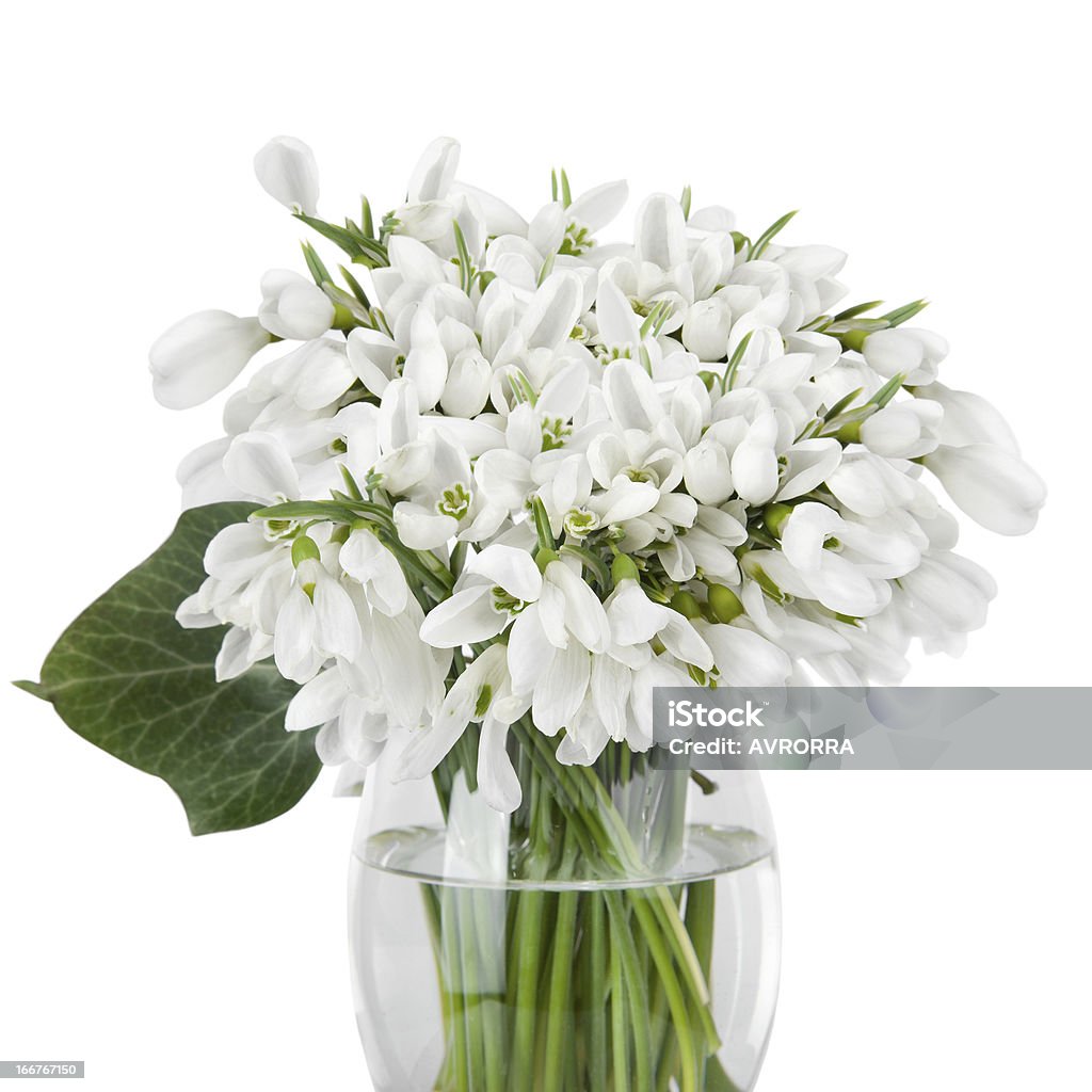 Campanilla de nieve ramo de flores en vidrio florero, Aislado en blanco - Foto de stock de Abril libre de derechos