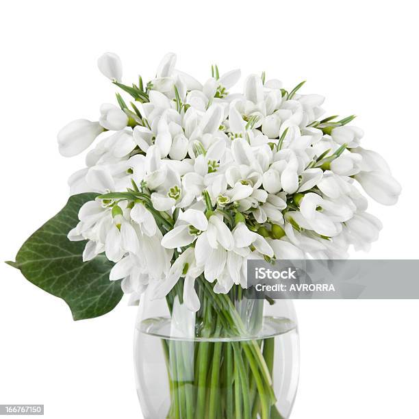 Campanilla De Nieve Ramo De Flores En Vidrio Florero Aislado En Blanco Foto de stock y más banco de imágenes de Abril