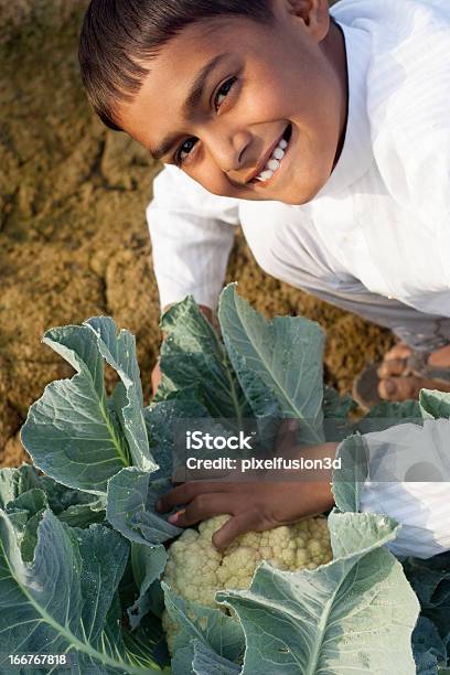 Allegro Ragazzo Indiano Con Cavolfiore Stabilimento Di Mattina - Fotografie stock e altre immagini di 8-9 anni