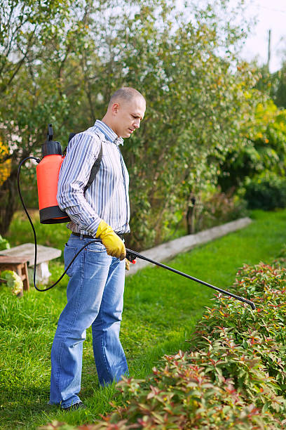 istock Man works with garden spray 166769852