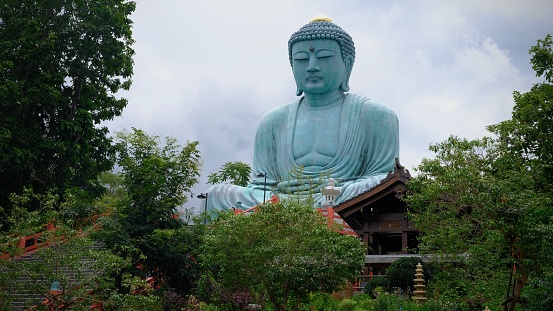 Vinh Trang Pagoda was built by Mr. and Mrs. Bui Cong Dat in the 19th century, at first just a small temple. Then, in 1849, Venerable Thich Hue Dang returned here, and the abbot ordered the organization to rebuild it into a great temple and named it Vinh Truong, with the implication of \