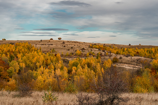 Golden autumn colors in the Apuseni Mountains, Romania