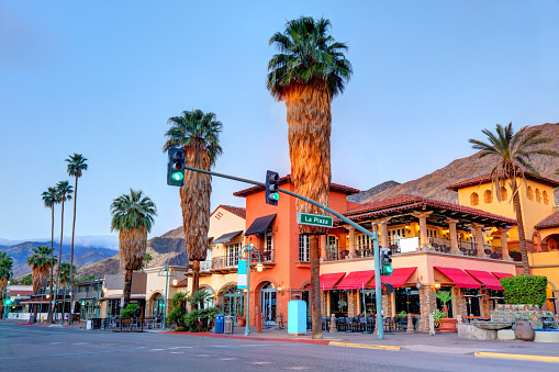 Los Angeles, Beverly Hill's sign, West Coast Palm Tree Sunshine