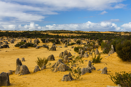 Nambung National Park in Australia is known for the Pinnacles Desert, featuring tall limestone formations. Visitors enjoy the unique landscape and diverse wildlife in the park.