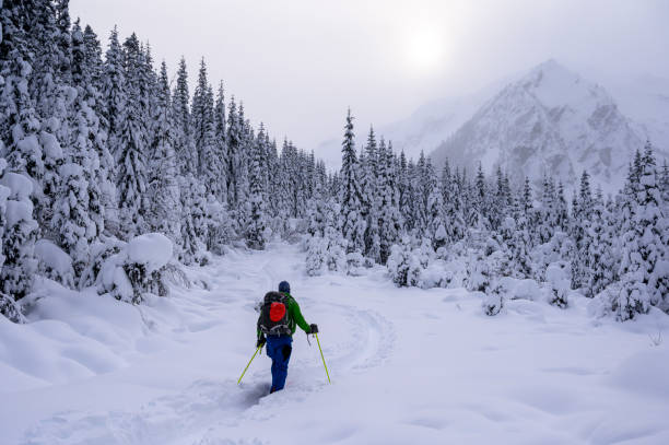 istock Man back country skiing 1667766660