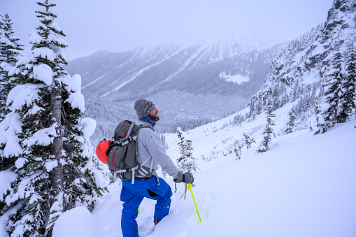Immersion in nature and adventure concepts. Winter sports and active lifestyles. Duffey Lake Road ski touring.