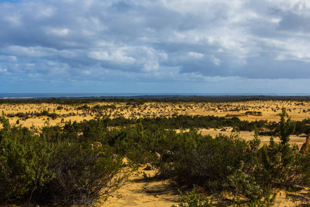 The Pinnacles Desert in Nambung National Park, Western Australia.
