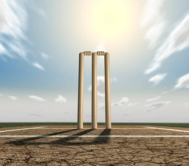 cricket de paso y wickets frontal - crease fotografías e imágenes de stock
