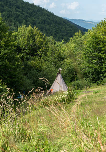 istock Wigwam in a forest clearing 1667838883