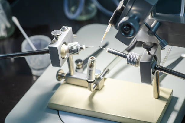 istock Artificial Insemination Instrument Kits quipment. Breeding purebred honey bees. base supporting the hooks and syringe holders and a queen holder 1667840503