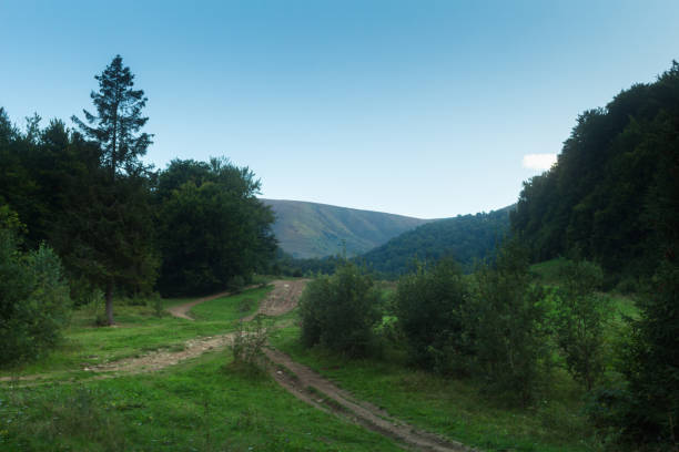 istock Meadow in the Carpathians 1667860569