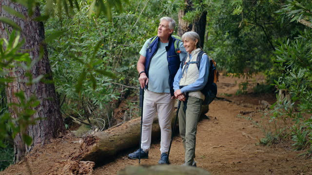 Senior couple, nature and hiking or walking in forest, adventure and travel in backpack and trekking stick or gear. Elderly people in woods or jungle path, talk of health and carbon footprint journey
