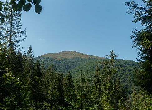 view of Velikiy Verkh mountain, Borzhava valley