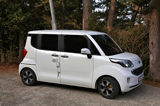 Kia Ray city car or kei car in South Korea. It is manufactured by Kia exclusively for the South Korean domestic market.