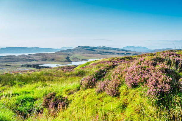 スコットランド、スカイ島の荒れた風景 - highlands region heather grass mountain range ストックフォトと画像