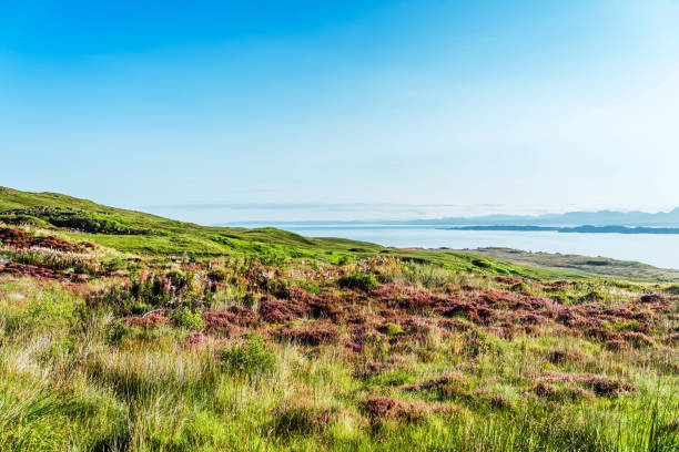 istock Rough landscape at Isle of Skye, Scotland 1667918594