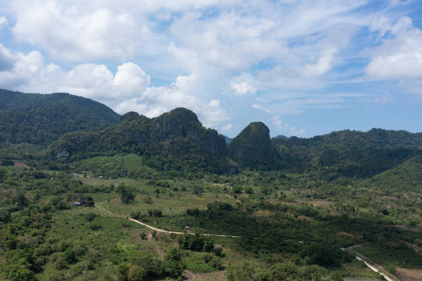 istock Philippine jungle from the top of a viewpoint 1667925112