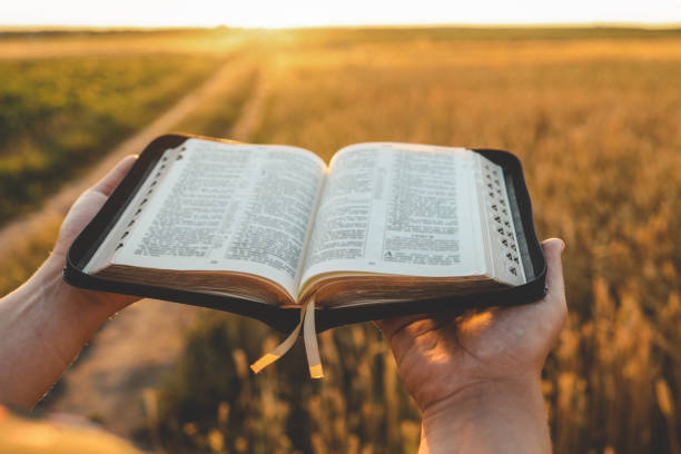 istock Open bible in hands, wheat field and road, christian concept 1667949499