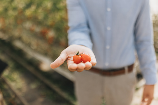 Close up photo of young man holding the small cherry tomato