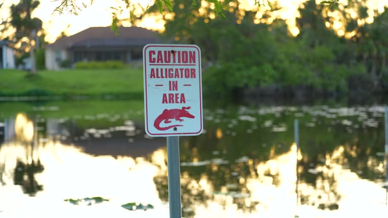 Alligator warning sign in Florida park about caution and safety during walking near water