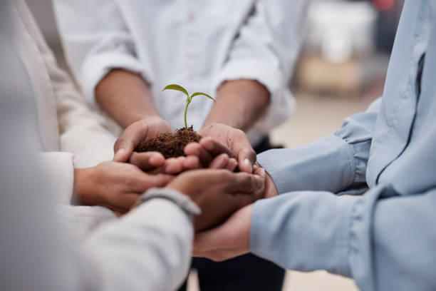 istock Plant, hands and soil for business team with sustainability, growth or development. Closeup group of people for earth day, agriculture and eco friendly investment or climate change with collaboration 1667994106