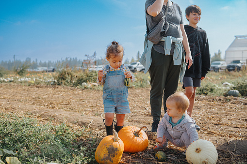 istock Toddler girl with baby cousin at a pumpkin patch 1668007588