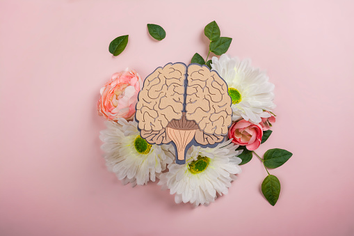 World mental health day, October 10 th. Brain with flowers and green leaves on pink background