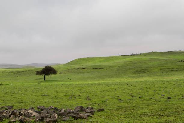 istock Stunning landscape featuring lush green field during cloudy weather 1668070096