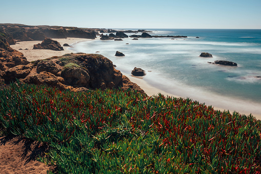 istock Long exposure Red ice plant on Glass Beach, CA 1668079207