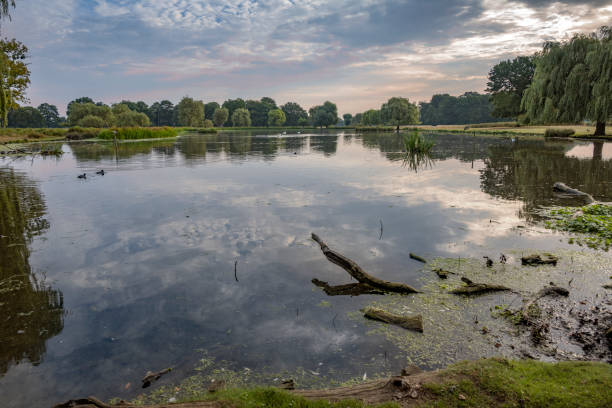 istock Reflections of the autumn morning light 1668105253