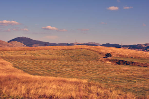 istock Grass field and blue sky in autumn on a sunny day 1668168294