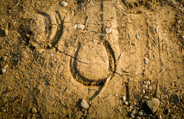 istock Springs of Bacchiglione 1668185673