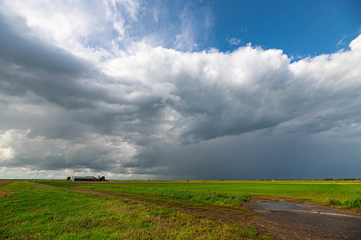 View of a rain and hail shower over the wide open plains in the western part of The Netherlands.