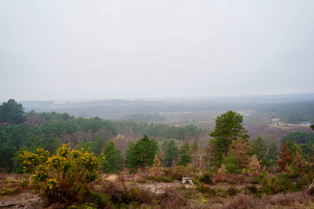 istock Views over misty countryside and woodland 1668244637