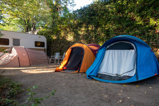 istock Tents in a small campsite under the trees 1668289651