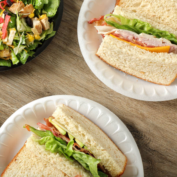 istock Sandwiches on plate and chicken salad 1668296349