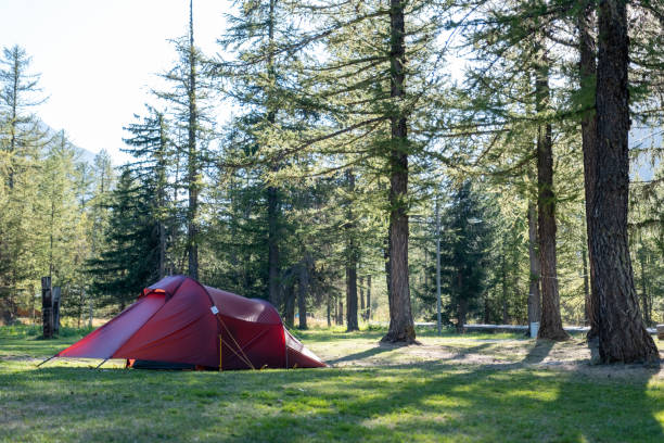 istock Tents under the trees in a camp site in the European Mountains 1668302957