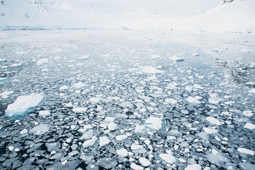 Chunks of ice cover the waters of the Antarctic Peninsula.