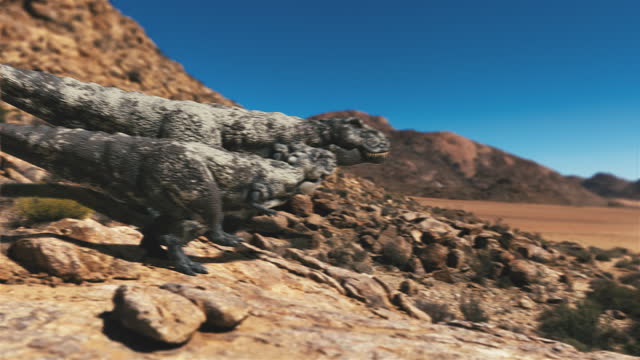 t-rex and diplodocus