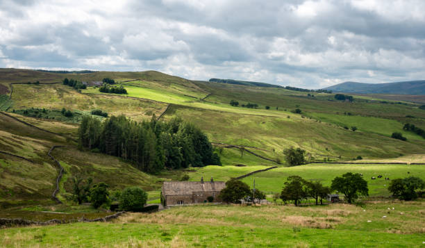 istock Forest of Bowland UK 1668341853