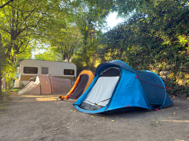istock Tents in a small campsite under the trees 1668363045