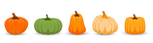 istock Set of different colors pumpkins on white background. Happy Halloween. Thanksgiving day with pumpkins. 1668395595