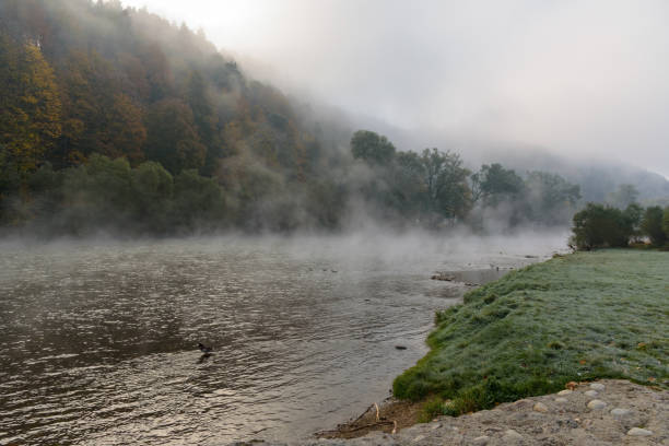 Misty morning view of Dunajec river in Sromowce Nizne in Pieniny Mountains, Poland