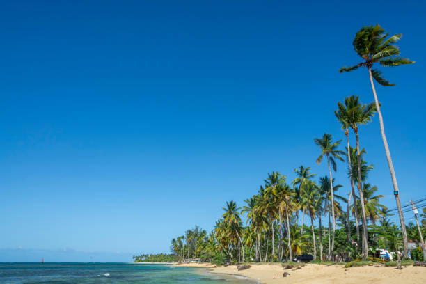 istock Las Terrenas Beach, Samana. Dominican Republic 1668458636
