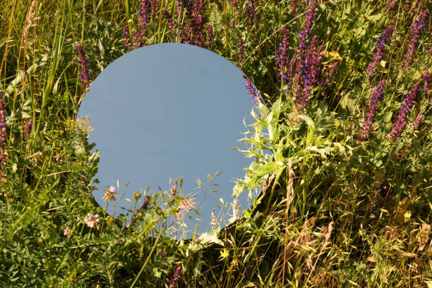 istock Spring atmosphere. Round mirror among grass and flowers on sunny day. Space for text 1668553742