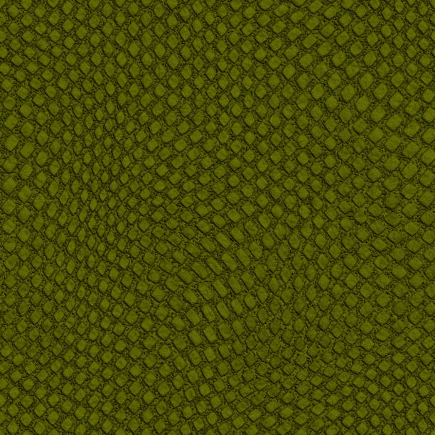 istock Alligator skin texture. Crocodile seamless pattern, green reptile wild tropical animal. Crocodile pattern skin illustration, texture background snake skin or alligator 1668556444