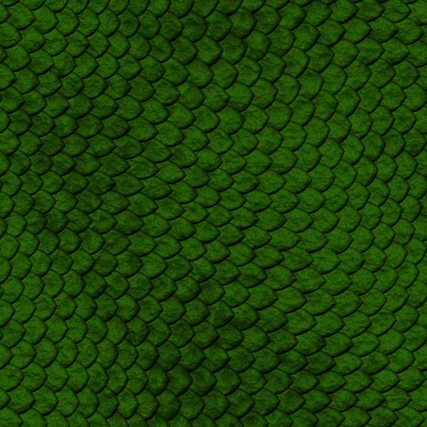istock Alligator skin texture. Seamless crocodile pattern, reptile grooved scales ton of green leather wild tropical animal. Crocodile pattern skin illustration, texture background snake skin or alligator 1668560060