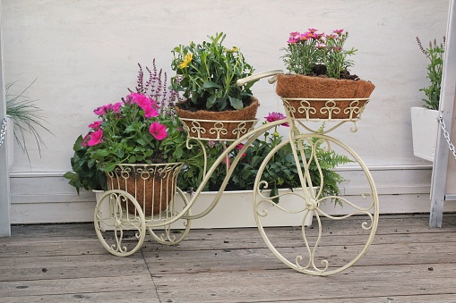 Summer decorative white bicycle with basket flowers in green garden. Flower pots in ornate bicycle in city park. Landscaping design. Decorative flower stand in the shape of a bicycle with flower pots