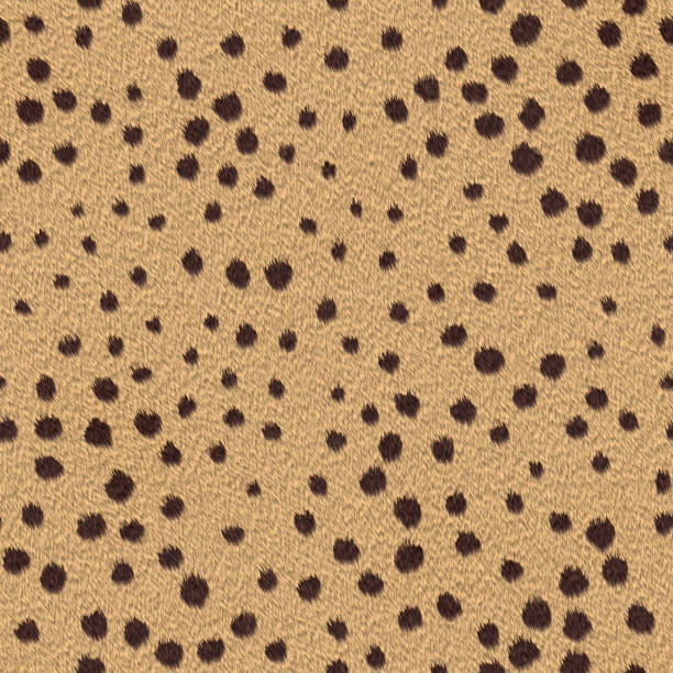 illustrazioni stock, clip art, cartoni animati e icone di tendenza di camouflage africano del leopardo - kruger national park illustrations
