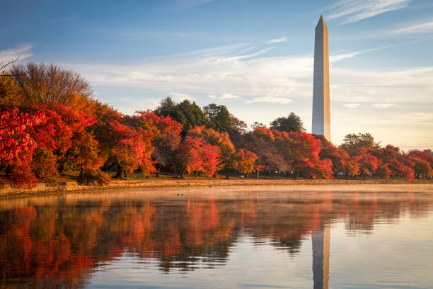 Washington DC in the fall The Tidal Basin on the Washington DC Mall in spectacular fall colors washington monument reflecting pool stock pictures, royalty-free photos & images